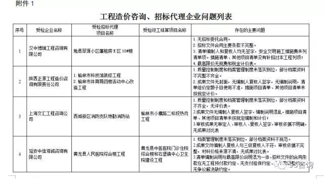 工程造價(jià)咨詢、招標(biāo)代理企業(yè)問題列表