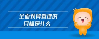 全面預(yù)算管理的目的是什么？